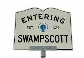 Swampscott, MA Termite Removal