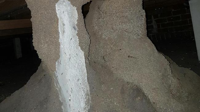 Home Eaten By Termites Pressures Authorities To Act