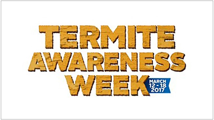 Termite Awareness Week | The Termite Boys